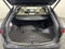 2025 Lexus RX 350h Luxury